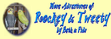 More Adventures of Rockey & Tweety