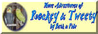Rockey & Tweety 2: More Adventures of Rockey & Tweety