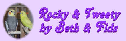 Rockey & Tweety 1: Not My Barbie Bed